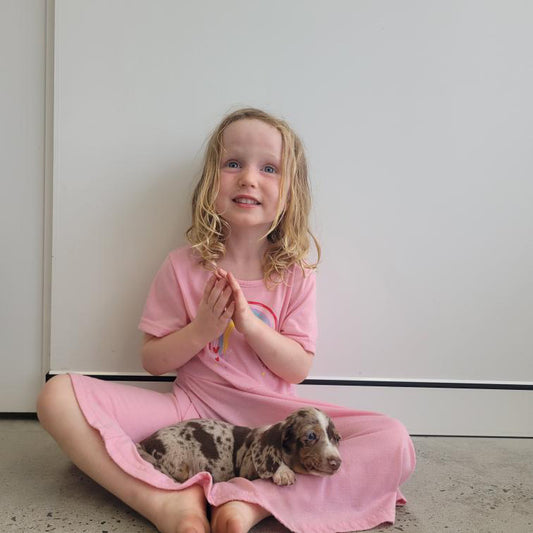 2.15PM - 19th April - Puppy Playgroup CRONULLA