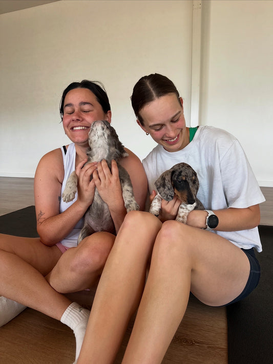 PUPPY YOGA - 22nd February - 1pm