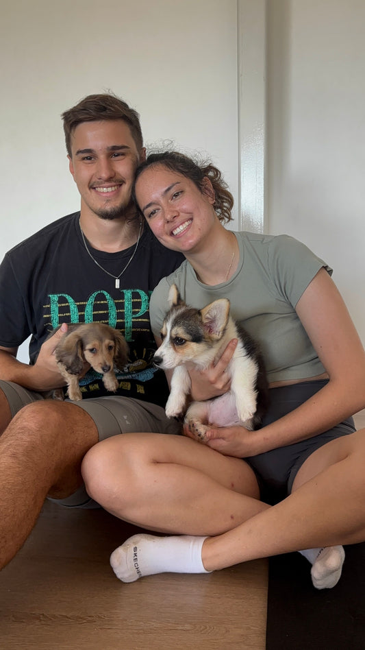 10AM - 19th April - Puppy Yoga CRONULLA