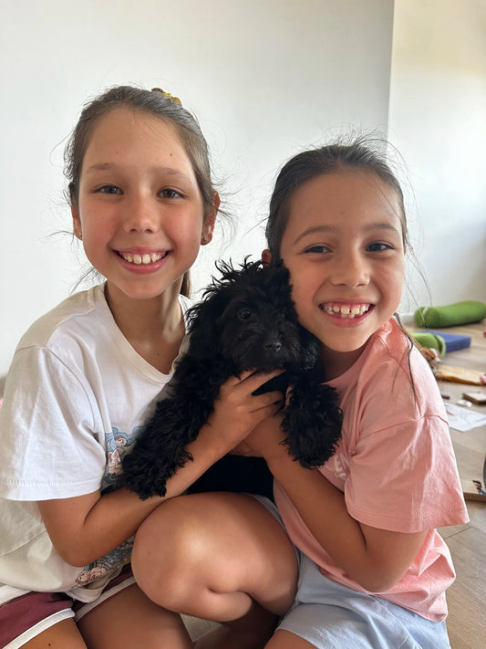 PUPPY PLAYGROUP (Kids 10 and under) - 22nd February - 11.15am