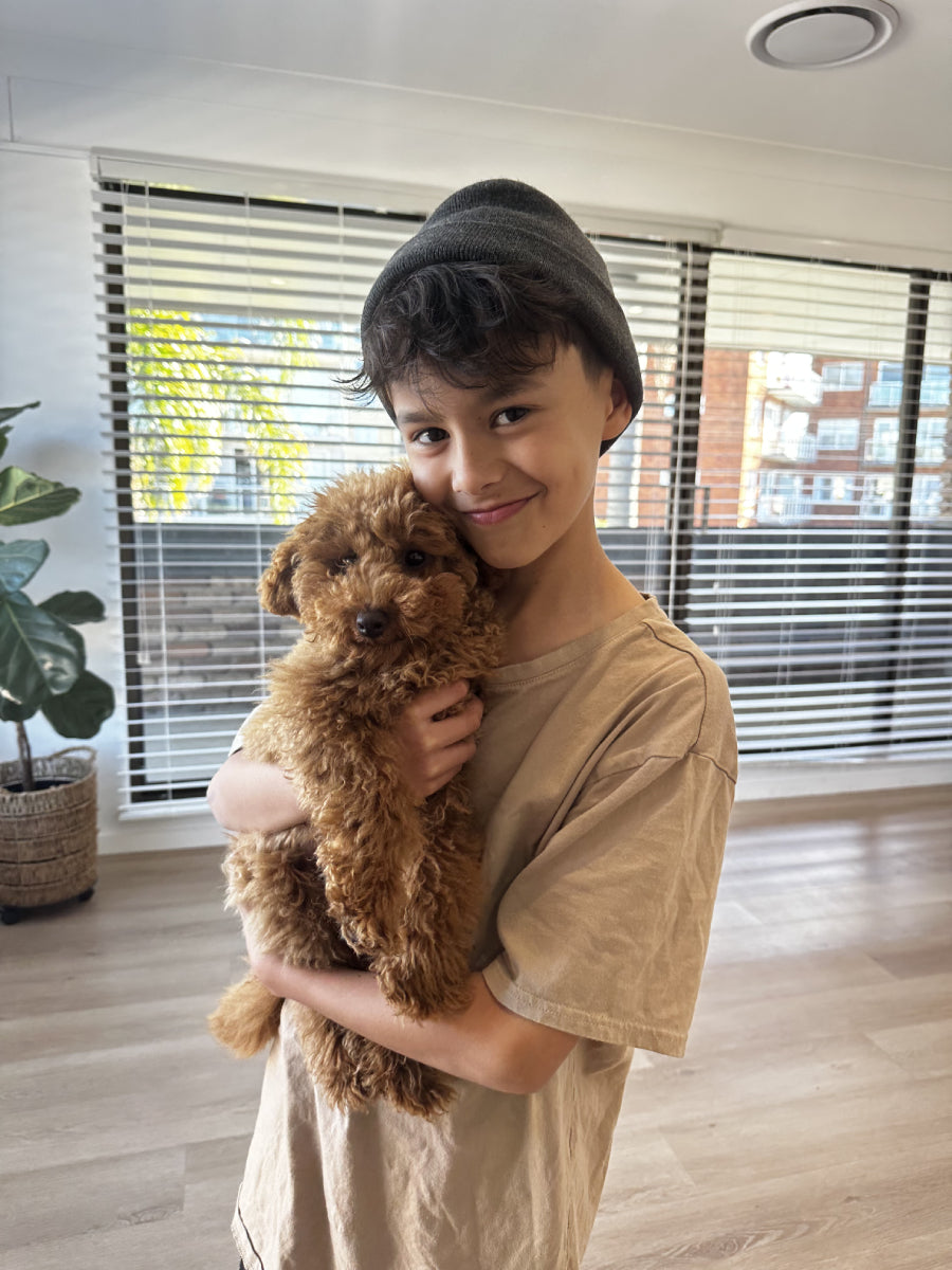 Puppy Playgroup (Kids 10 and under) - Sunday 21st December - 11.30am