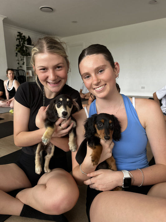 PUPPY SOCIAL - 1st MARCH - 4pm