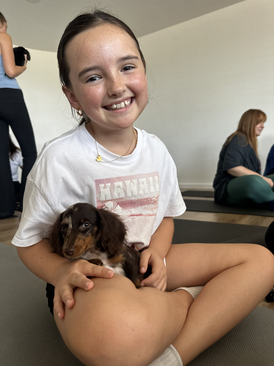 1PM - 9th April - Puppy Playgroup WOONONA, NSW