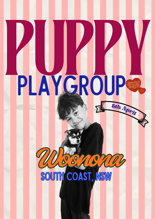 10.30AM - 8th April - Puppy Playgroup WOONONA, NSW