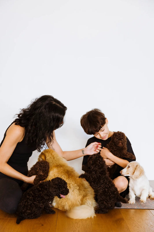 Puppy Yoga - Sun 14th December - 12pm