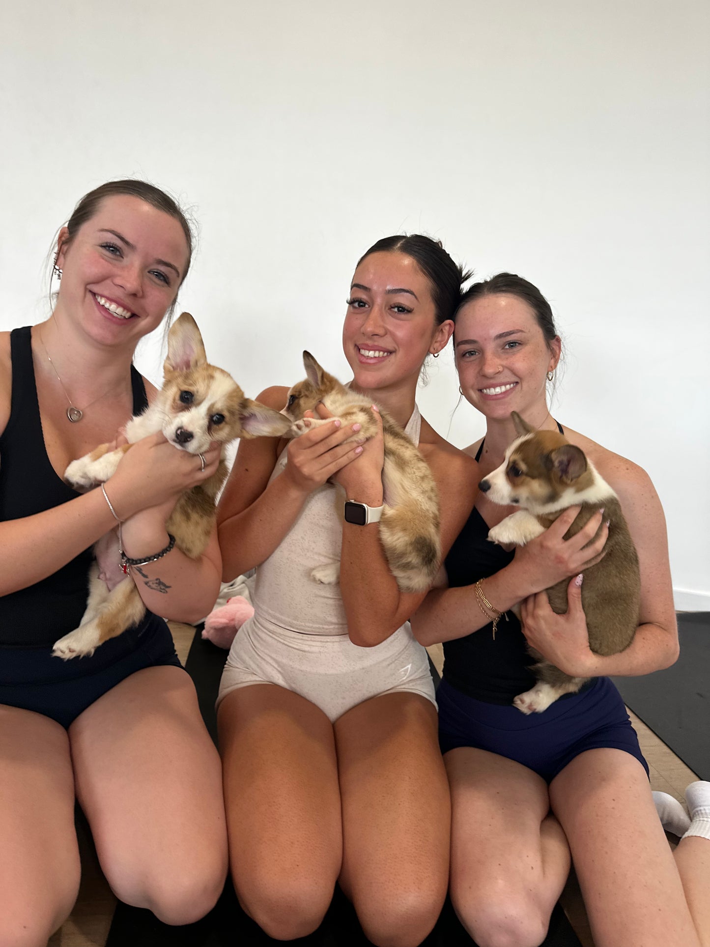 1.30PM -  19th July - Puppy Yoga CRONULLA