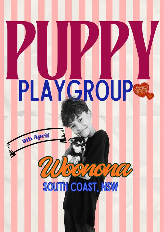 10.30AM - 9th April - Puppy Playgroup WOONONA, NSW